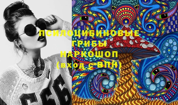 винт Коряжма