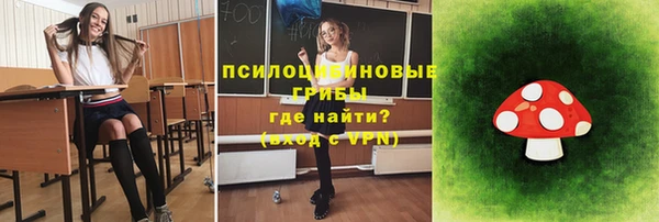 винт Коряжма