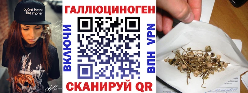 Галлюциногенные грибы Psilocybe  Любань 